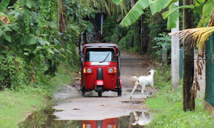 Sri Lanka 3 Wochen Familienurlaub