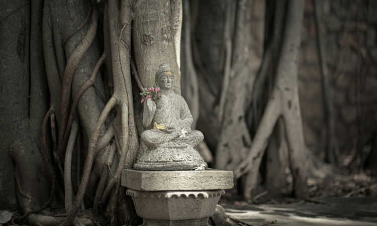 Buddha unter dem Bodhi Baum