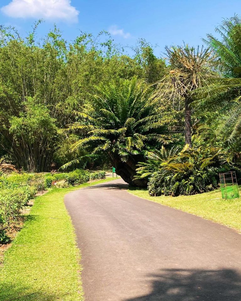 Botanischer Garten in Kandy