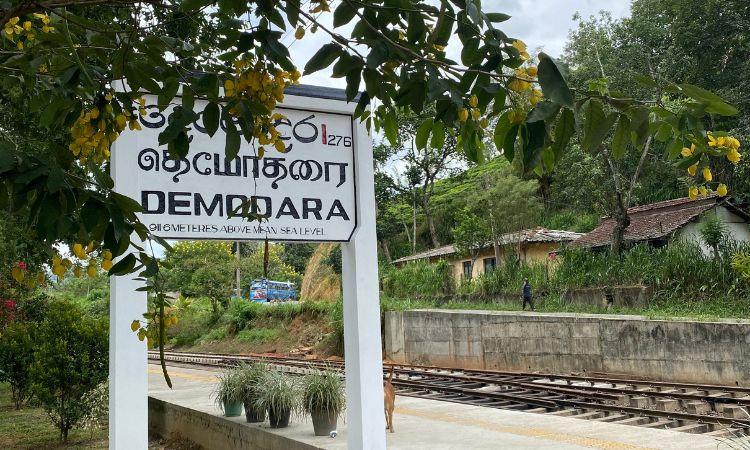 Ziel erreicht nach drei Stunden Wanderung: Demodara