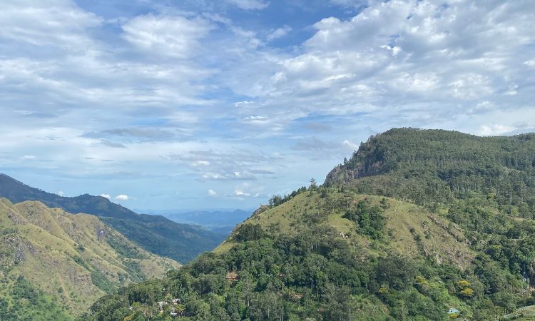Blick zum Little Adam's Peak und Ella Rock