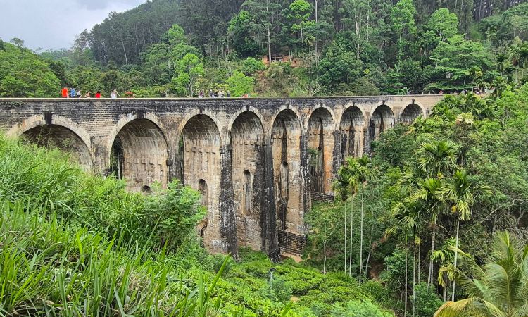 2 Wochen Sri Lanka aktiv Ella