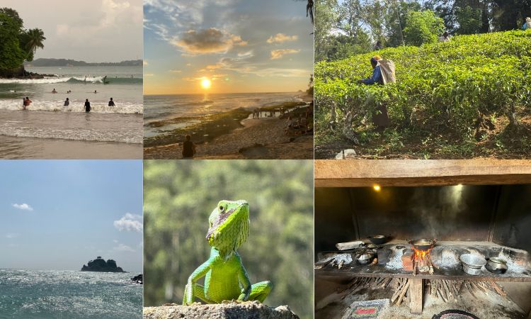 Sri Lanka im November