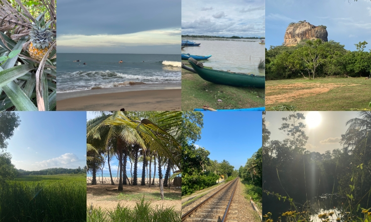 Sri Lanka im Oktober
