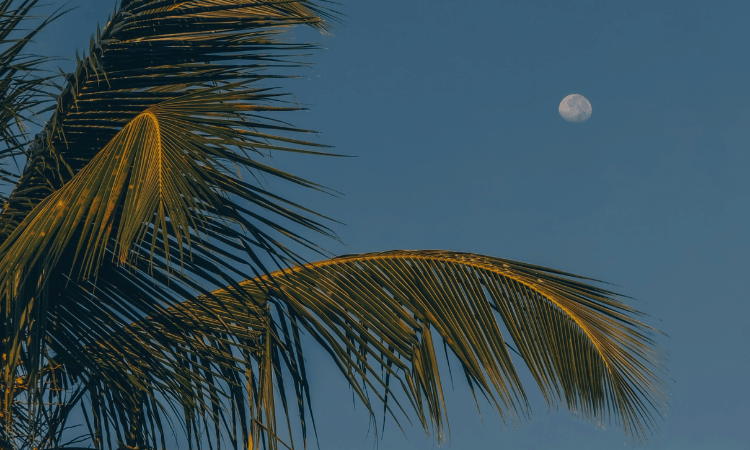 Vollmond in Sri Lanka