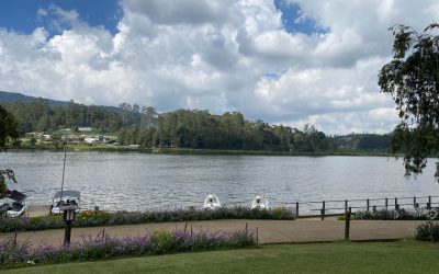 Bootstour auf dem Gregory Lake
