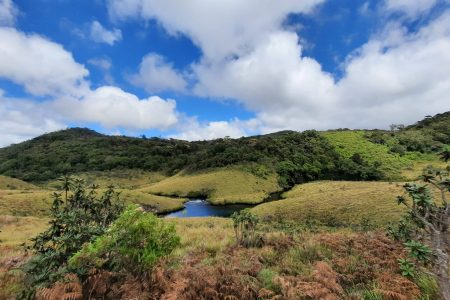 Horton Plains (2)
