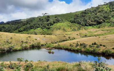 Horton Plains Sri Lanka Rundreise mit Familie