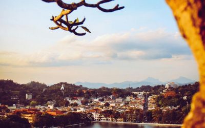 Kandy_florian-wehde-btc7lo_Er4Y-unsplash