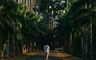 Kandy