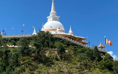 Sri Lanka Rundreise 7 Tage Ella Buddhist Monastery