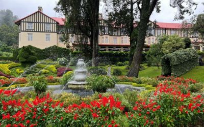 Sri Lanka Rundreise 7 Tage