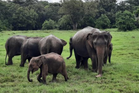 WhatsApp Bild 2024-11-24 um 20.47.46_f83cc357